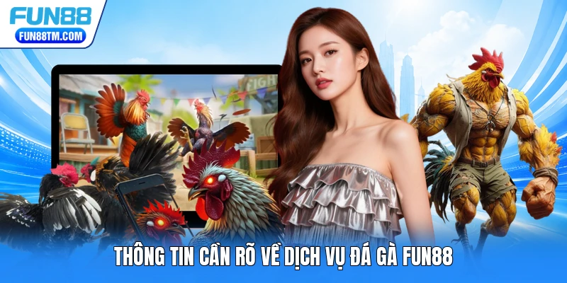Thông tin cần rõ về dịch vụ đá gà FUN88